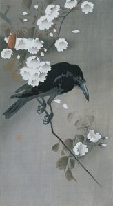 樱花枝上的乌鸦 作者 大原功臣