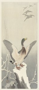 雪地树桩上的鸭子 作者 大原功臣