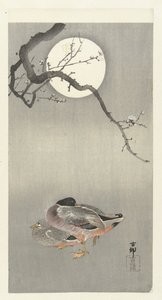 满月时的鸭子 作者 大原功臣
