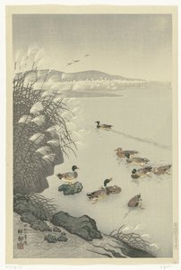 水中的鸭子 作者 大原功臣