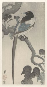 树枝上的喜鹊 作者 大原功臣