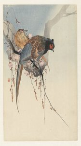 雉鸡夫妇与梅花 作者 大原功臣