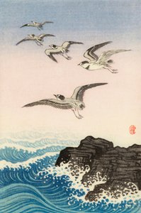 海中岩石上的五只海鸥，20 世纪（日本版画） 作者 大原功臣