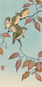 日本艺术家 Ohara Koson 的《树枝上的五只小鸟》 作者 大原功臣