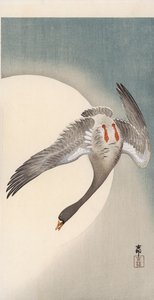 月亮前从下面看到的飞翔的白额鹅（彩色木版画）。 作者 大原功臣