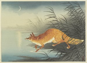 20世纪30年代的月光水狐狸（彩色木版画）