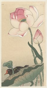 莲花鸡 作者 无名氏
