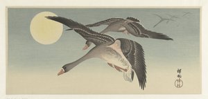 满月的大雁 作者 大原功臣