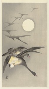 满月的大雁 作者 大原功臣
