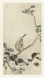 花枝上的鹀 作者 大原功臣