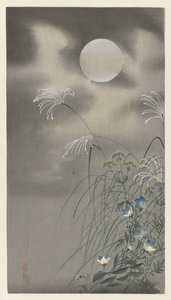 满月时的花草 作者 大原功臣