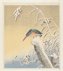 雪中翠鸟 作者 大原功臣