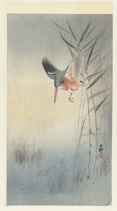 翠鸟觅食 作者 大原功臣