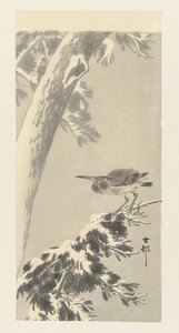 雪树枝上的印度嘎嘎声 作者 大原功臣