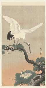 松树枝上的日本鹤 作者 松树平吉