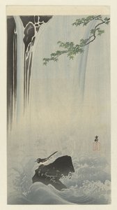 瀑布边的日本鹡鸰 作者 大原功臣