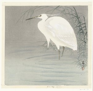 小白鹭 作者 松树平吉