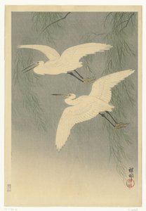 飞行中的小白鹭 作者 大原功臣