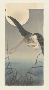 满月时的白额雁 作者 大原功臣