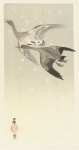 布伦特雁，在雪中飞翔 作者 秋山布右卫门