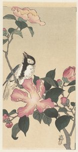 大山雀在开着粉色花朵的树枝上 作者 大原功臣
