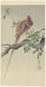 科佩法赞 作者 大原功臣