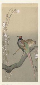 几只野鸡和樱花 作者 大原功臣