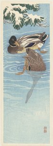 一对野鸭在水中 作者 大原功臣
