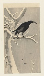 雪树枝上的乌鸦 作者 大原功臣