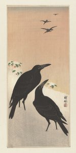 雪地里的乌鸦 作者 大原功臣