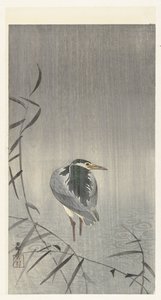 雨中呱呱叫 作者 大原功臣