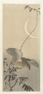 新月下的鹌鹑 作者 秋山布右卫门