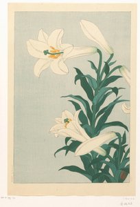 莱利斯 作者 大原功臣