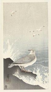 岩石上的海鸥 作者 大原功臣