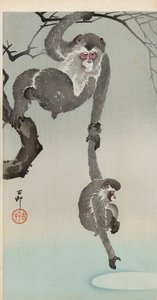 猴子和婴儿伸手去拿月亮的反射 作者 大原功臣