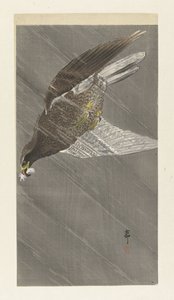 下飞鹰 作者 大原功臣