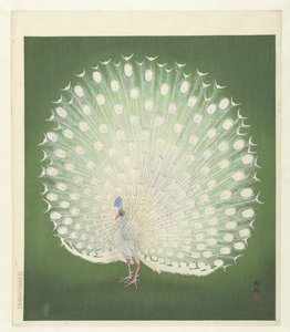 孔雀 作者 大原功臣