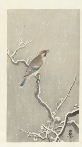 雪枝上的腊翅鸟 作者 大原功臣