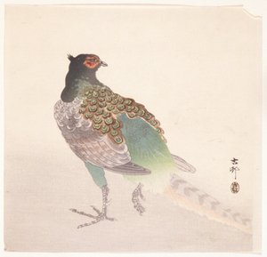 雉鸡（彩色木版画） 作者 大原功臣