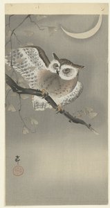 银杏中的兰素 作者 松树平吉