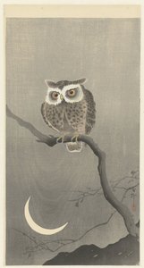 光秃秃树枝上的长耳鸮 作者 松树平吉