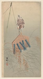 稻草人上的环斑麻雀 作者 大原功臣