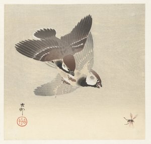 环麻雀和昆虫 作者 大原功臣