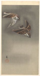 雪地里的环麻雀 作者 大原功臣