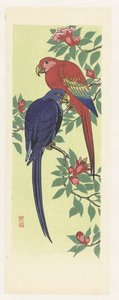 红鹦鹉和蓝鹦鹉 作者 大原功臣