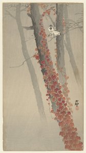红常春藤 作者 松树平吉