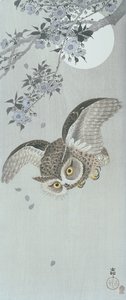 飞翔中的勺状猫头鹰与花和满月（彩色木版画 作者 大原功臣