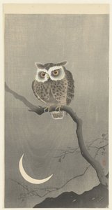 树枝上的鸱鸮与新月 作者 大原功臣