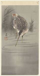 水中鹬 作者 大原功臣