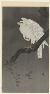 树枝上的雪鹰 作者 大原功臣